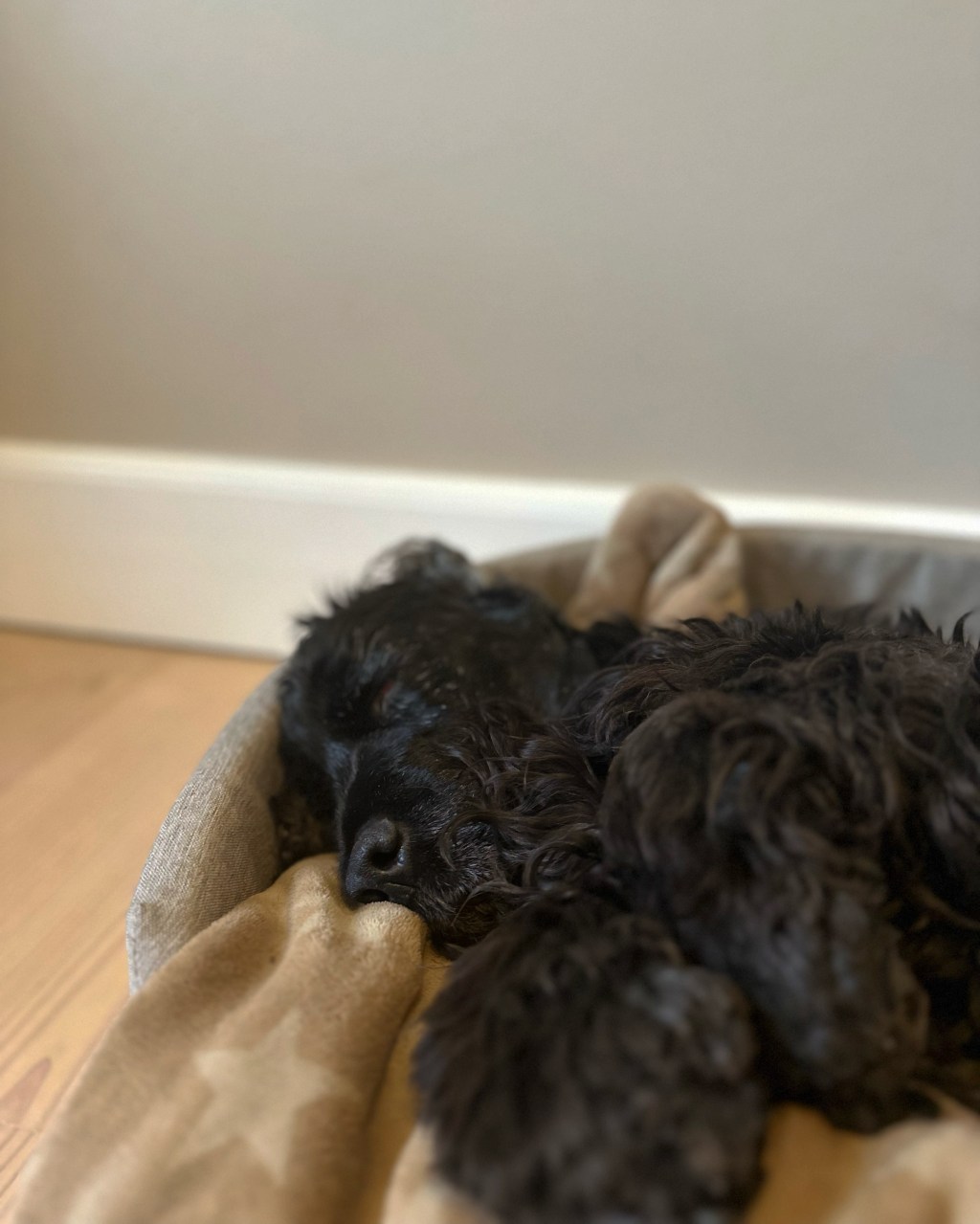 Wise Words With Maggie 5: the on/off&nbsp;button